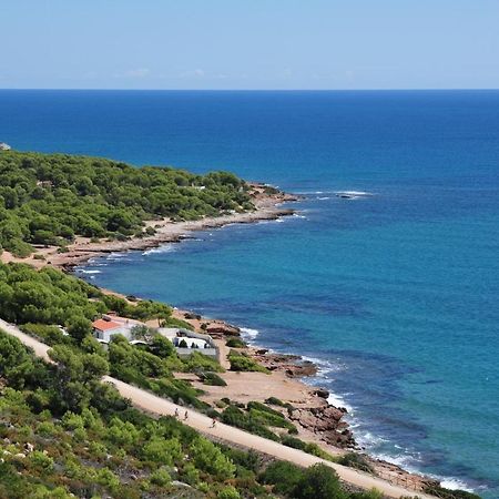 Ferienwohnung La Casa Del Pompon Benicàssim Exterior foto